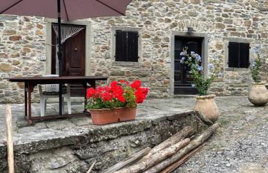 THE DORMOUSE - Il Ghiro - Foto 31