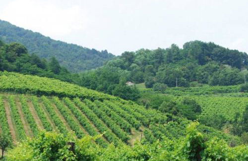 I 4 elementi - Foto 51