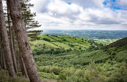 The Old Mill Holiday Cottages, Nr Mold - Foto 26
