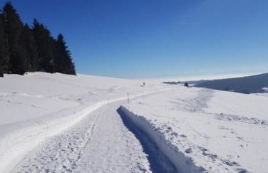 Jules Traum im Schwarzwald - Foto 75