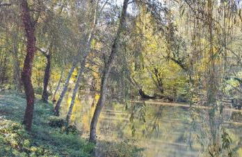 Le Moulin de L'O - L'Orle Rose - Foto 29