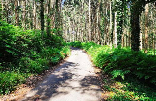 Estrella de O Vicedo - Foto 41