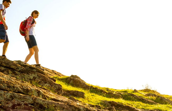 Cave Painting Hike in the Côa Valley - Foto 1