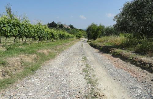 Poggio Novello - Foto 24