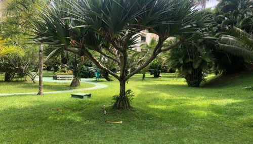 Apartamento Wembley Tenis - Toninhas - Ubatuba - Foto 4, Garden