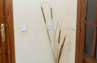 La Casa del Solaz - Foto 53