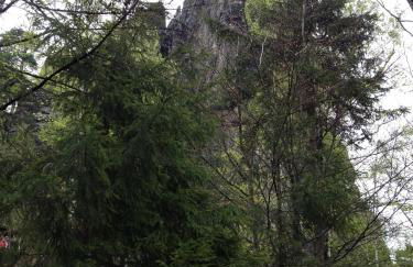 Ferienwohnung Paul - Photo 21