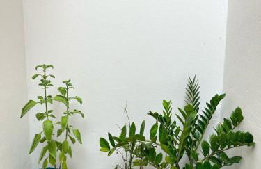 Casa prox Madrecor, Parque do Sabia , UFU com Garagem - Foto 37