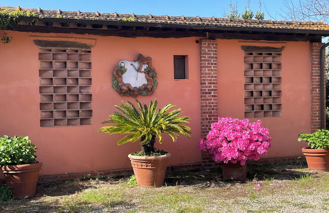 Agriturismo Podere Marchiano - Foto 65