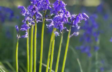 2025 Award Winner Liverpool Peach House - 4 Bedrooms - Foto 80