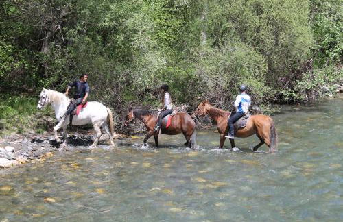 Apartamentos wifi Baqueira & Aigüestortes con jardín privado - Photo 7