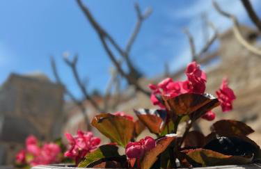 H-aris Seafront Mansion - Foto 50