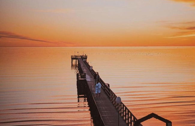 Charmante Ferienwohnung in der Oase am Vilzsee - Photo 31