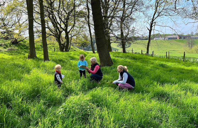Mongolian Yurts Fordhall Organic Farm - Photo 39