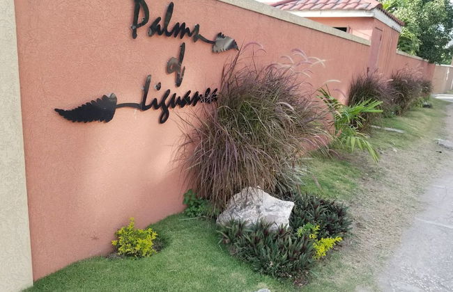 Palms of Liguanea - Foto 25