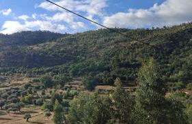 Pérola da Serra - Foto 14