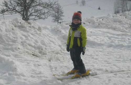 Rutscherhof Comfortable holiday residence - Foto 19