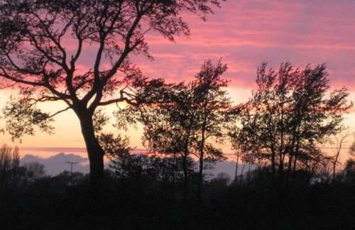 Hering FeWo I Apartment Terrace - Foto 43