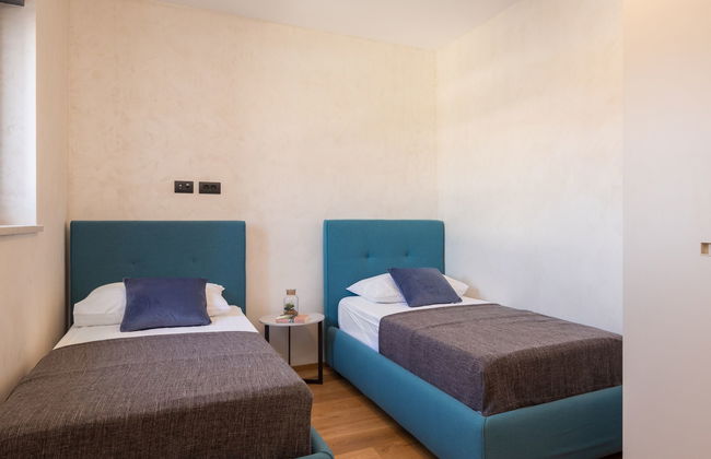 Old Olive VIII - Foto 31