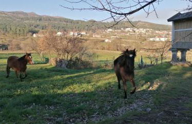 Casa do Negrões - Foto 32