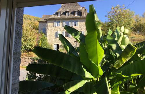 Le Gîte de Jean - Photo 14