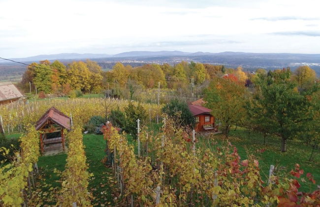 Vineyard Cottage Bahor - Foto 12