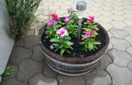 Apartment Sanja - Foto 31