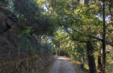 Sobreiro Valley - Casa Firmino - Foto 33