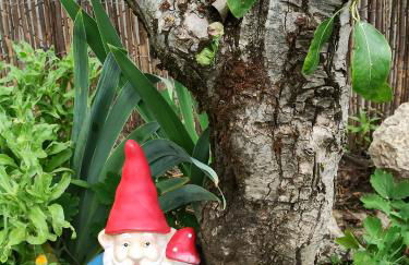 La Catalpa - Foto 22