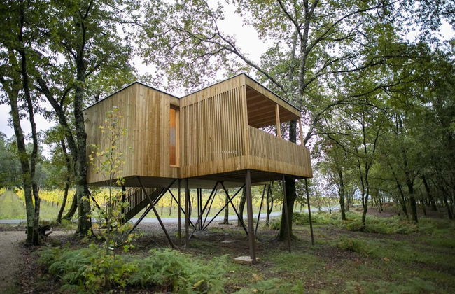 Enoturismo María Manuela - Photo 54