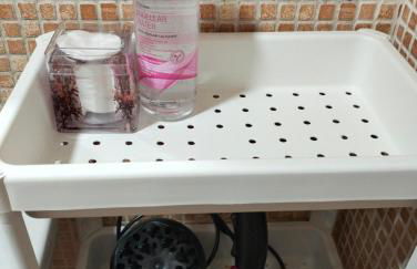 Casa Raquelina - Foto 17