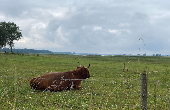 4 Star Holiday Home in Praesto - Foto 18