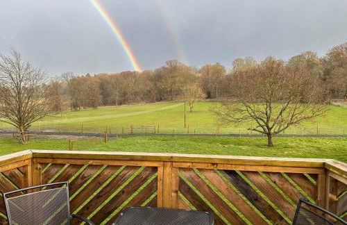 Badgers Den - Foto 16