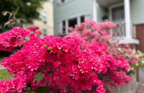 3bedroom APT with balcony & free street parking - Foto 28