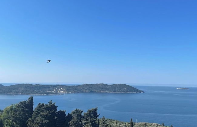 Villa Judita Dubrovnik - Photo 1