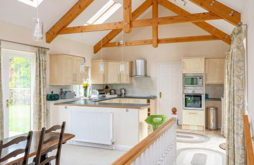 Forget-me-not - Foto 7