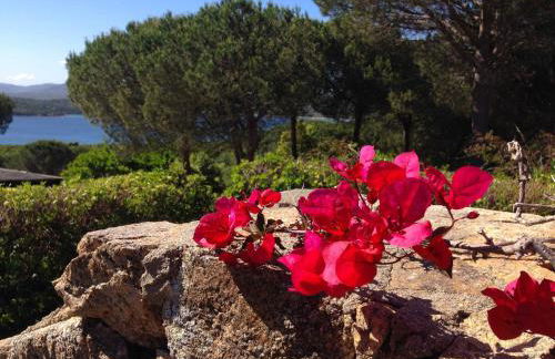 Conca Verde - Photo 13