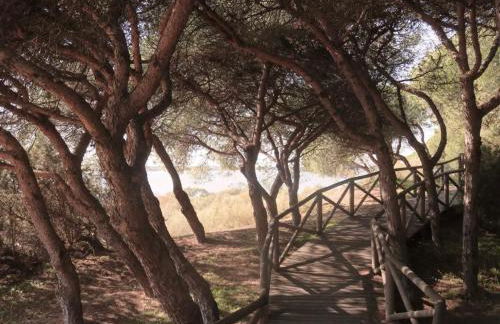 Ático con vistas a la ría de Punta Umbría - Foto 18