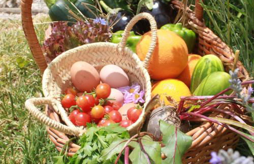 Herdade da Ordem - Foto 32