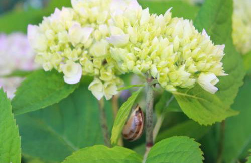 Comfortable Apartment in Quaint Holiday Village - Foto 46