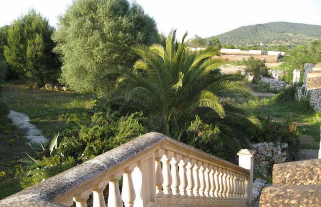 Finca Sa Cova Vella - Photo 31