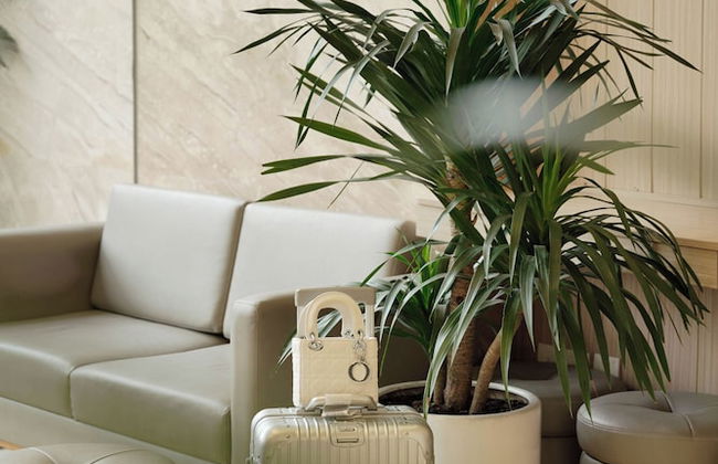 Elite Hotel Nha Trang - Foto 72