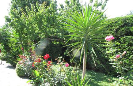 Palirria Hotel & Studios - Photo 45