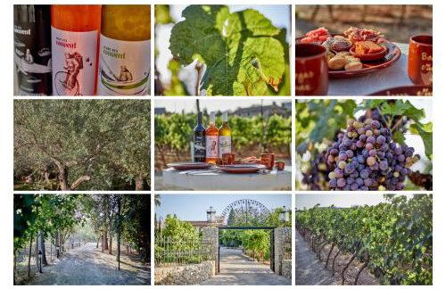 Agroturismo Sa Vinya des Convent - Foto 29