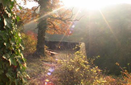 Ferienhaus Stahlberg - Photo 30