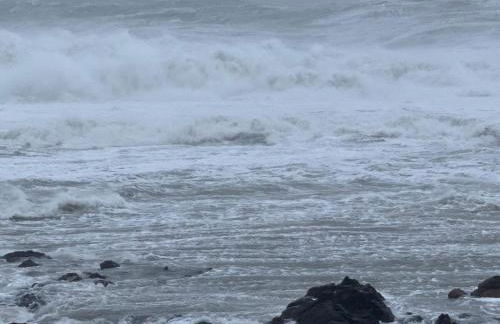 The Harbour Cottage - Foto 11