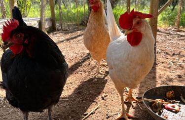 Agriturismo Podere Valdo - Foto 71