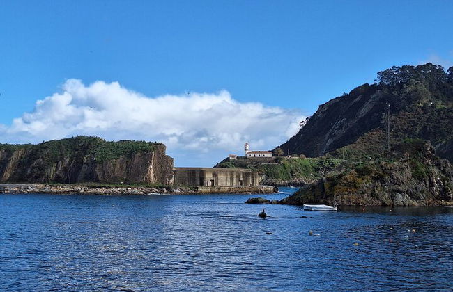 Cudillero, Aviles und Cabo Peñas Leuchtturm Tour von Oviedo - Foto 8