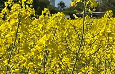 Ferienwohnung Maren - Foto 44