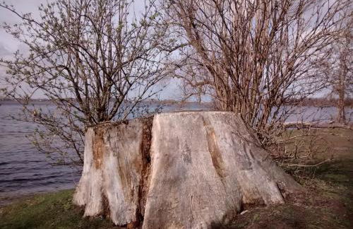 Herberge im "alten Pfarrhaus" in Schmergow am Havel-Radweg - Foto 3